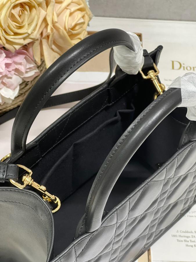 Túi xách Dior Mini Book tote