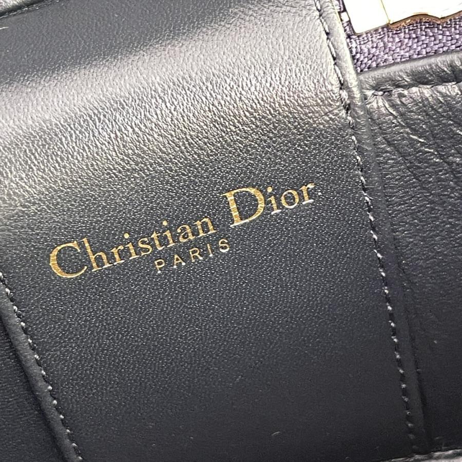 Túi xách Dior Signature Vanity